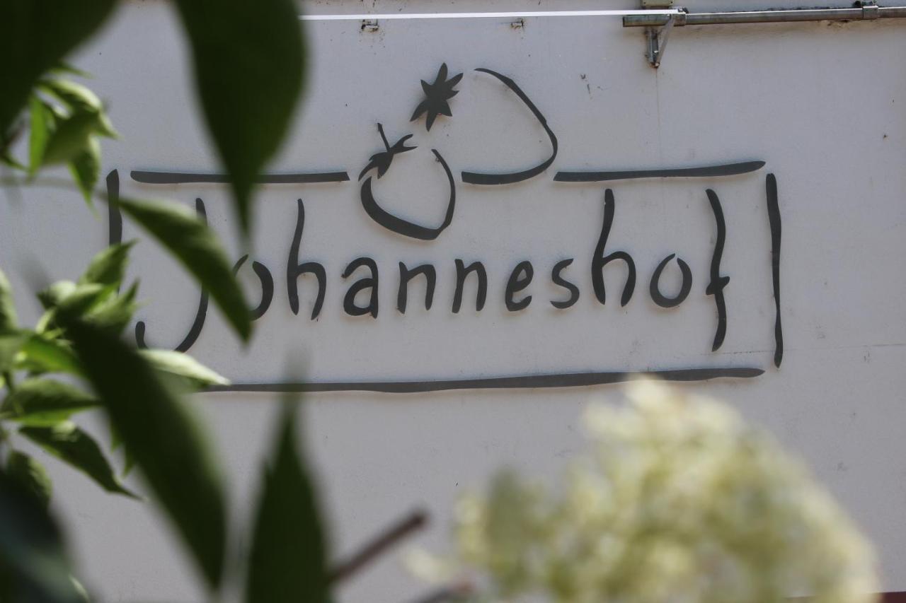 Johanneshof Gaestehaus Hockenheim Exteriér fotografie
